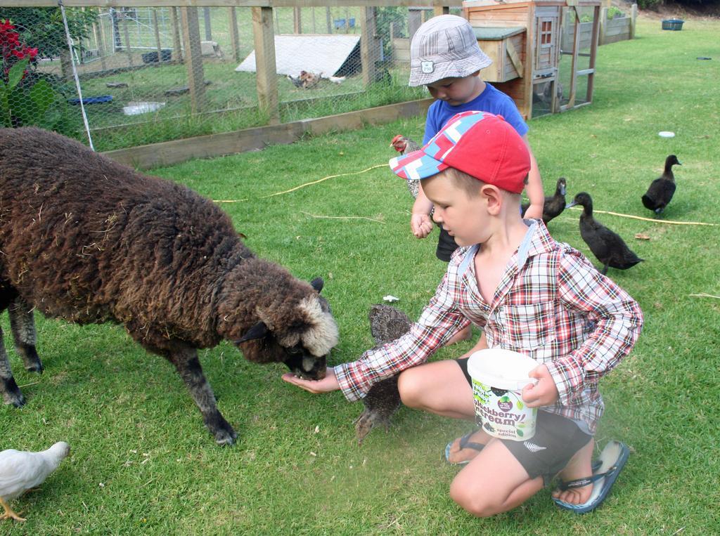 Pukenui Holiday Park 외부 사진